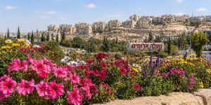 משלוח פרחים במעלה אדומים